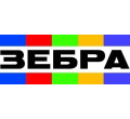 Зебра