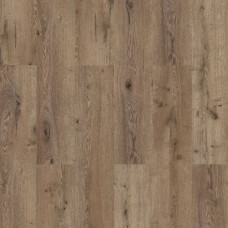 Ламинат Kastamonu Classic Summer Oak 31 класс