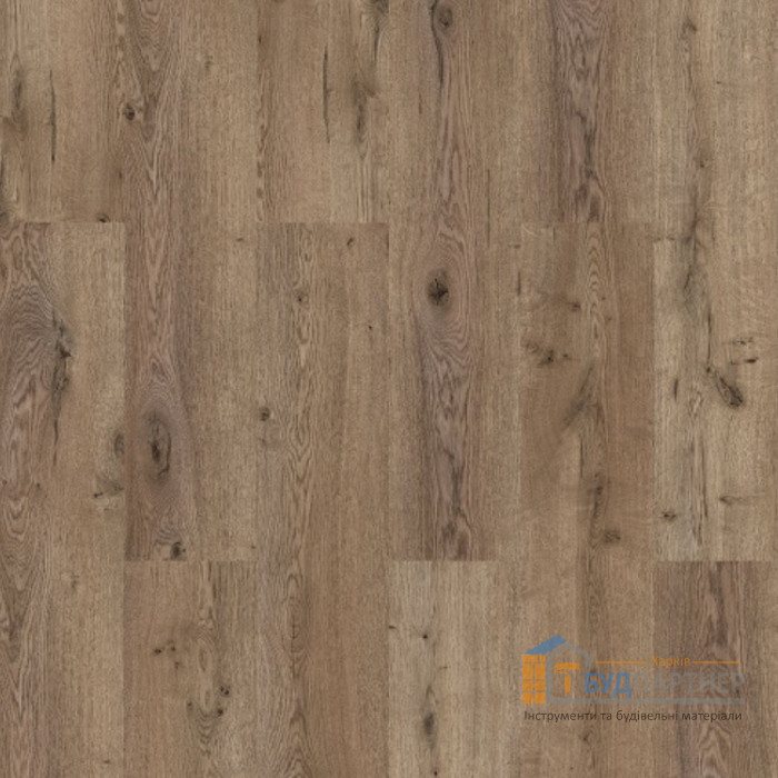 Ламинат Kastamonu Classic Summer Oak 31 класс - цена, характеристики в интернет-магазине